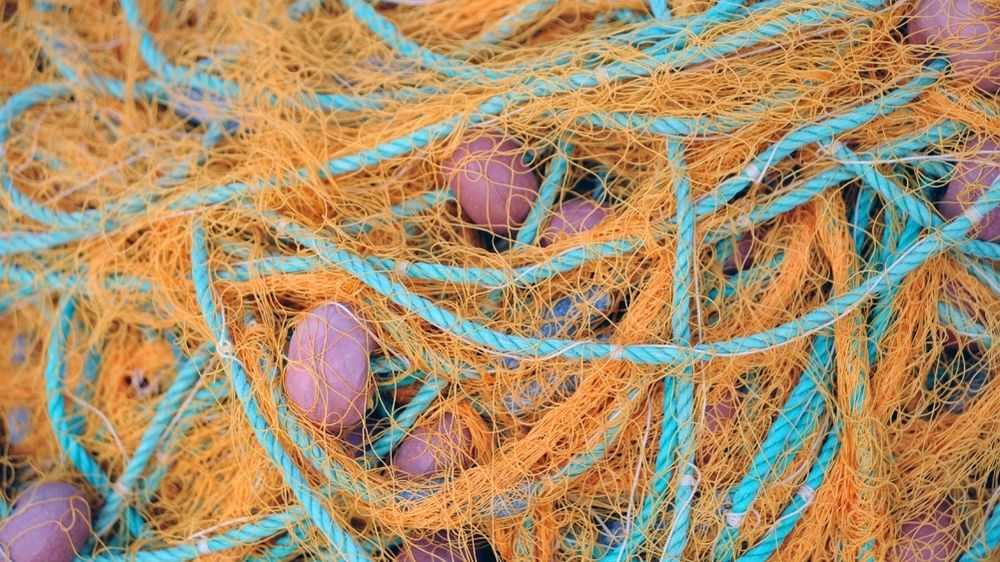 Vær med til at bekæmpe plastikforureningen